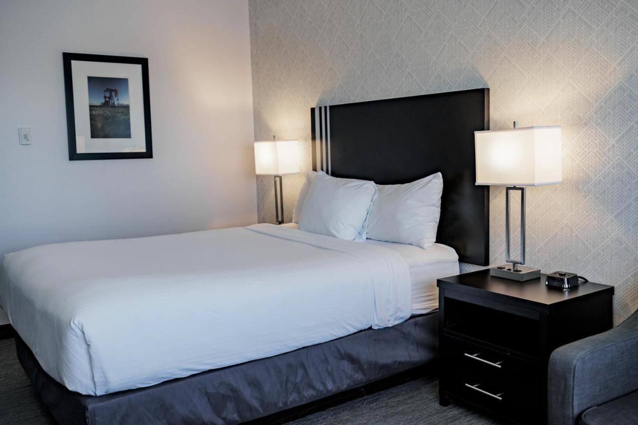Park Inn By Radisson Edmonton Airport 르덕 외부 사진